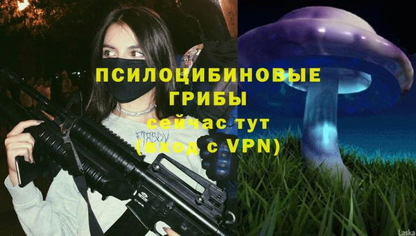 ALPHA PVP Михайловск