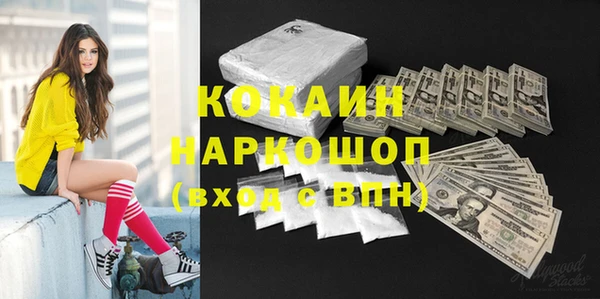 молекула духа Навашино