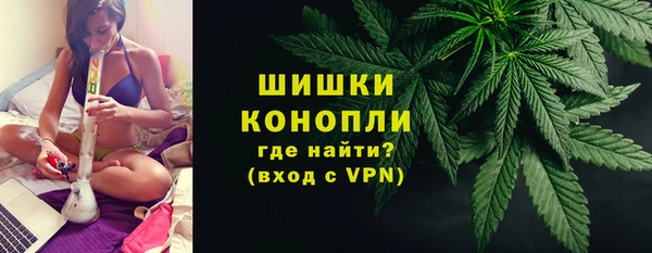 молекула духа Навашино