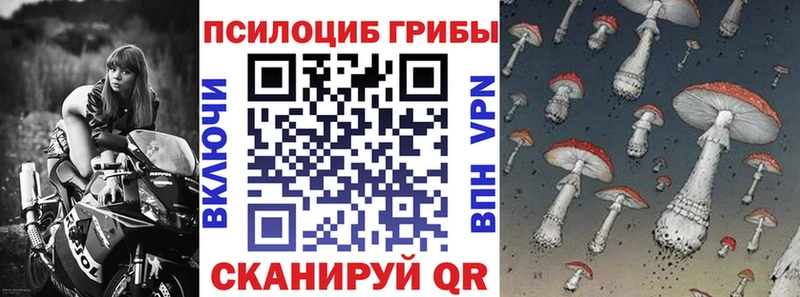 Псилоцибиновые грибы MAGIC MUSHROOMS hydra ссылка Опочка как найти закладки